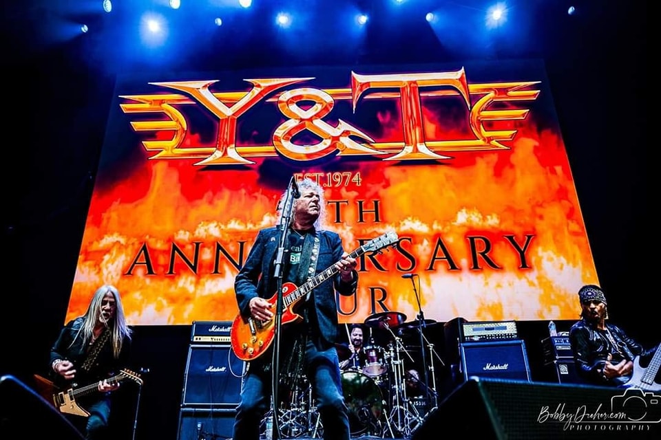 Y&T